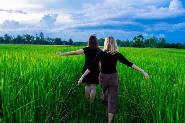 Foto vista posteriore di una donna che cammina tra le piante sul campo contro il cielo