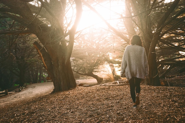 Rear view of woman walking on field by trees