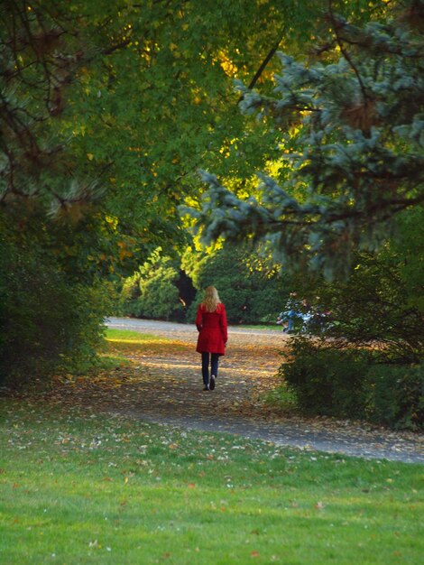 Rear view of woman walking on footpath amidst trees