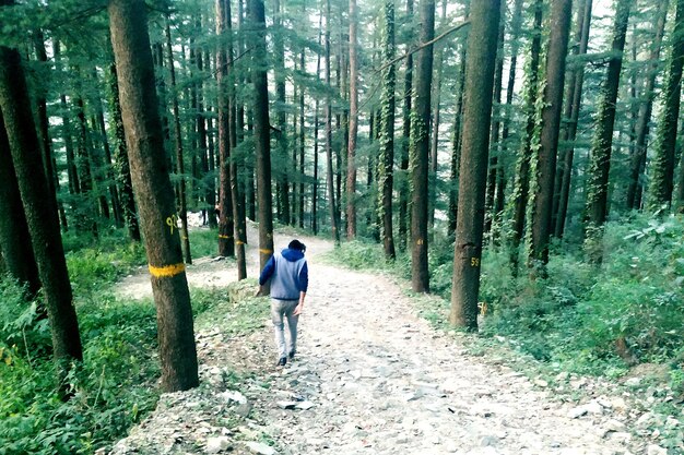 Rear view of woman walking in forest