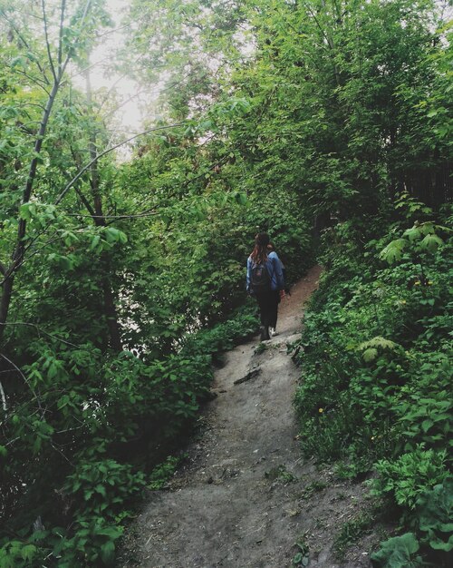 Rear view of woman walking in forest