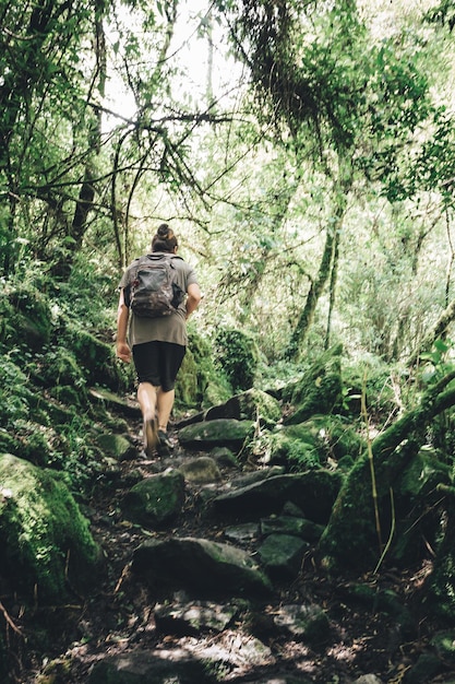 rear view of woman walking in forest