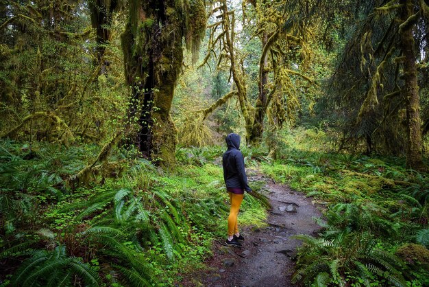 Foto vista posteriore di una donna che cammina nella foresta