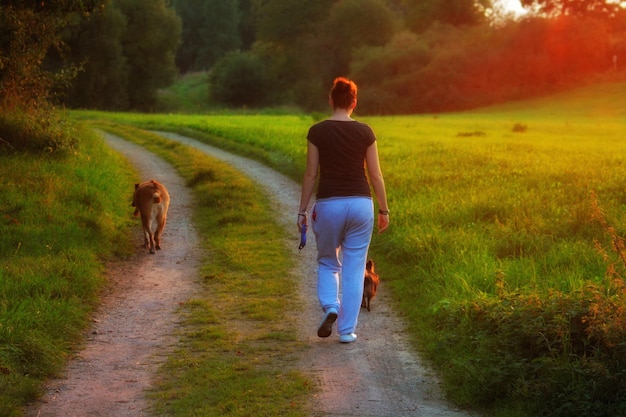 Foto vista posteriore di una donna che cammina con i cani su una strada sterrata