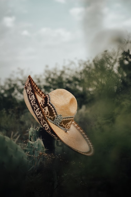 Photo rear view of woman wearing hat against sky