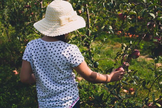 植物の向こうに立っている帽子をかぶった女性の後ろの景色