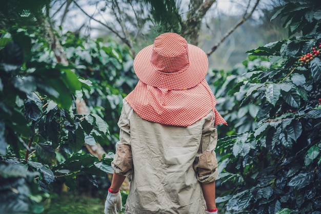 植物のそばに立っている帽子をかぶった女性の後ろの景色