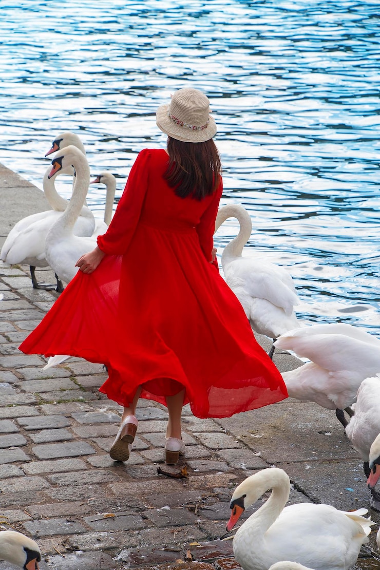 Photo rear view of woman wearing red dress while walking by swans