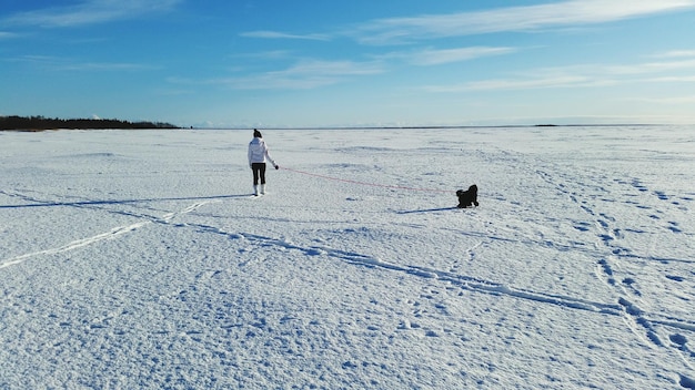 空の向こうに雪で覆われた風景を歩いている犬を飼っている女性の後ろの景色
