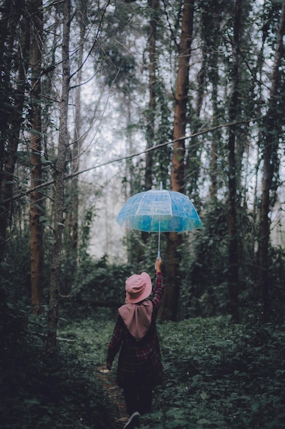 Photo rear view of woman with umbrella standing in forest