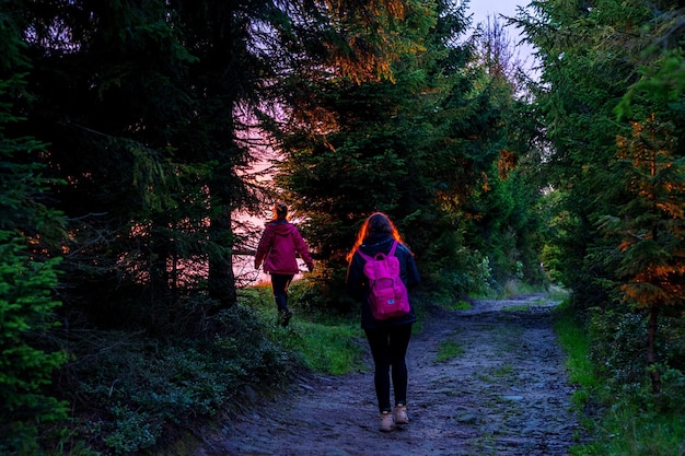 Foto vista posteriore di donne che camminano su un sentiero nella foresta