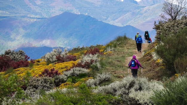 Rear view of women walking on mountain