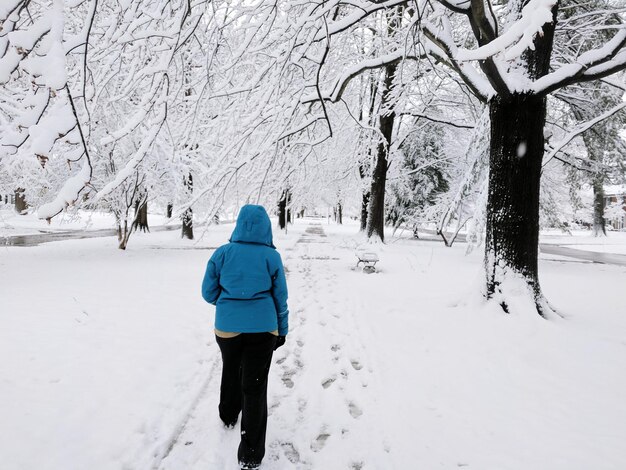 Photo rear view of wowan walking on snow covered path lined by trees in louisville kentucky