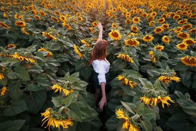 Photo rear view of a young girl in the middle of a rural area of sunflowers at sunset.