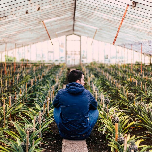 Photo rear view of young man sitting amidst plants in greenhouse