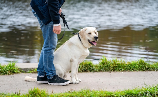 湖の近くで犬のラブラドールレトリバーを持っている若い男の背面図。親友のトリミングされた写真。