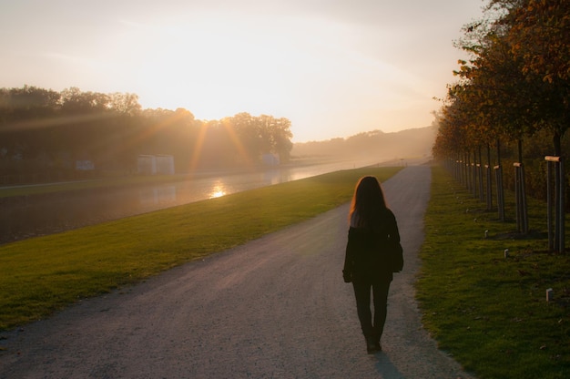 Rear view of young woman on road against sky during sunset