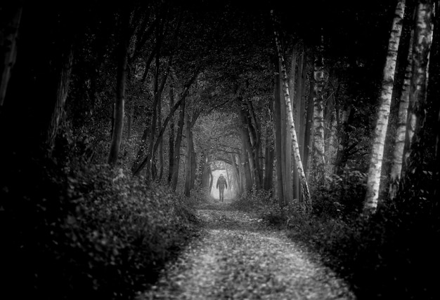 Photo rear view of young woman walking on field amidst trees in forest