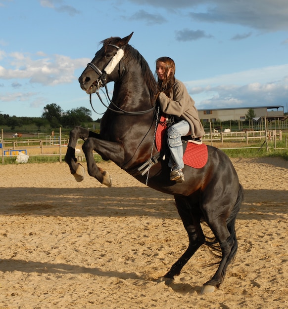 Rearing horse