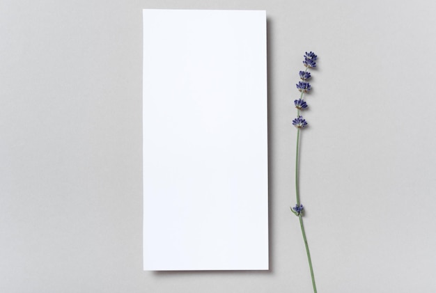 Rechthoekige verticale of vierkante uitnodiging witte wenskaart mockup met een lavendeltak bloemen