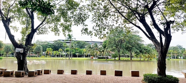 Recreatiemiddelen in het park