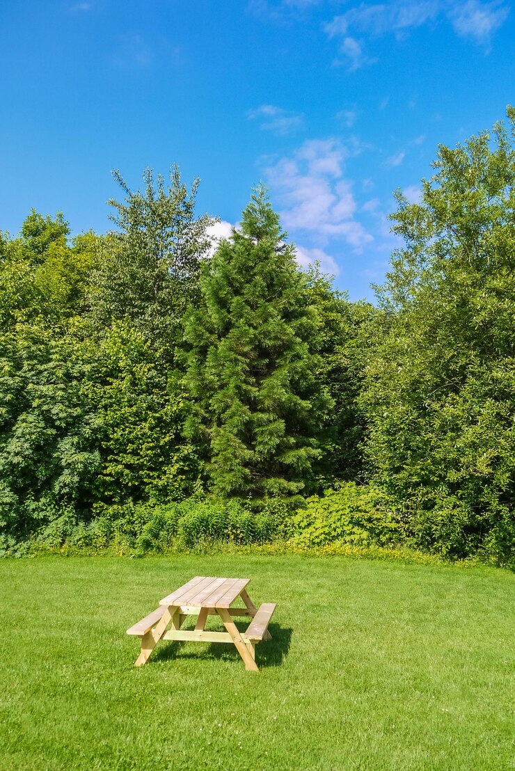 Recreation area with picnic tables on green lawn in a park