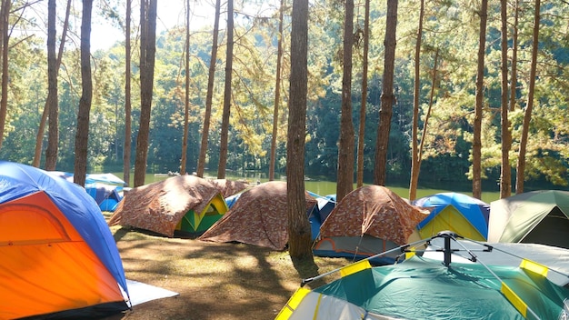 Recreational activity relax on nature digital detox in camping tents in forest