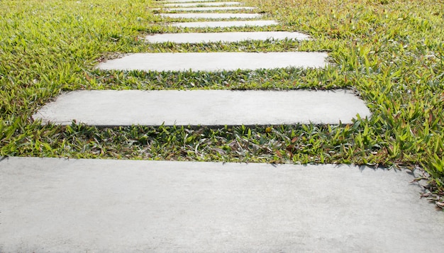 Rectangular bricks walk way on the lawn