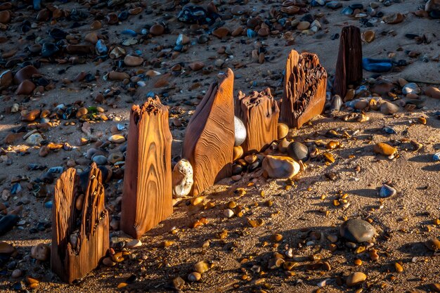 Reculver заброшенная морская оборона