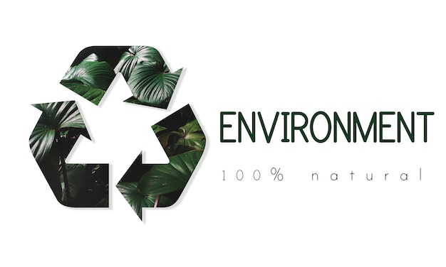 Photo recycle environmental conservation nature ecology