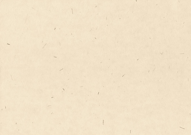 Recycled white paper texture background. 