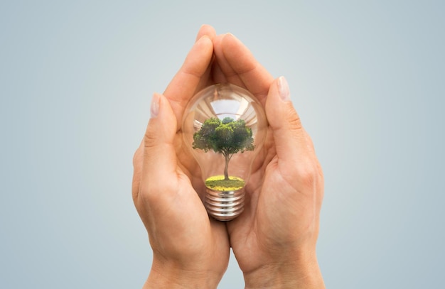 recycling, conservation, environment and ecology concept - close up of hands holding light bulb with tree inside over blue background