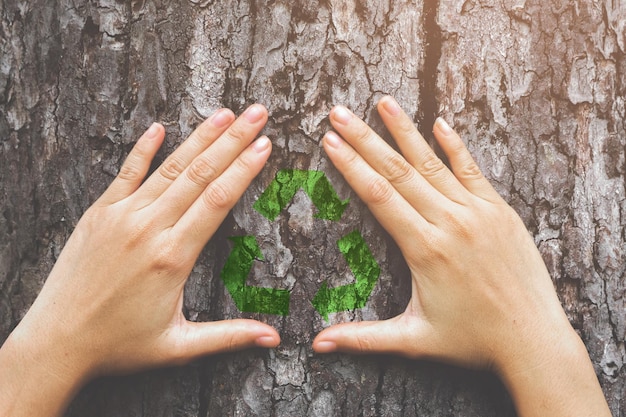 Photo recycling symbol amidst cropped hands on tree trunk