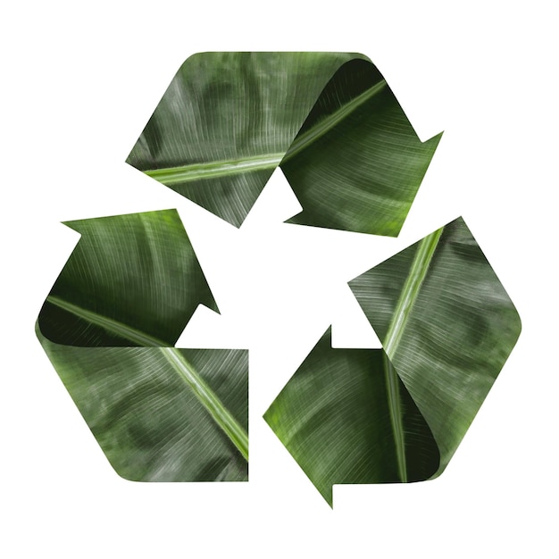 Recycling symbol made of leaves on white background