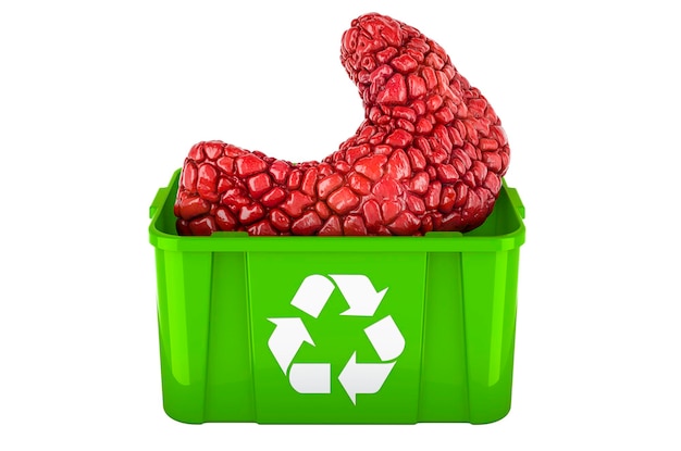 Recycling trashcan with human thyroid 3D rendering