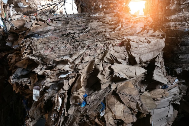 Recycling van geperst karton en sorteren van afval in de fabriek