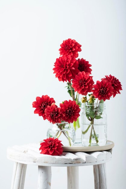 Red amazing flowers dahlias