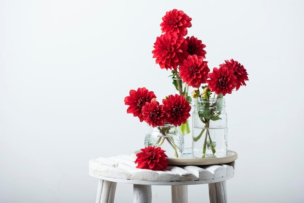 Red amazing flowers dahlias