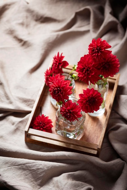 Red amazing flowers dahlias