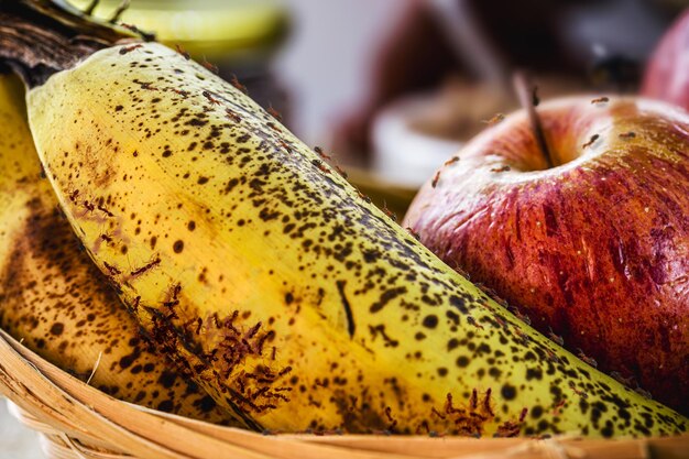 腐った果物のバナナと昆虫の果物と昆虫の赤いアリは ⁇ キッチンに焦点を当てています