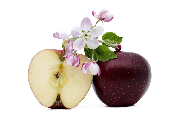 Красное яблоко рядом с ломтиками яблока и цветками яблони, изолированными на белом фоне