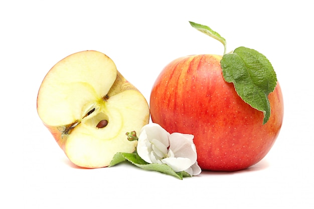 Red apple, half and flower on white