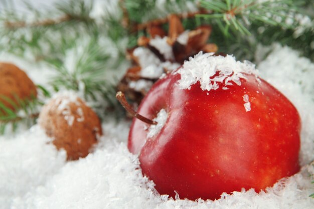 Red apple with fir branches and bumps in snow close up