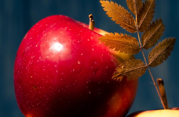 A red apple with a leaf on it