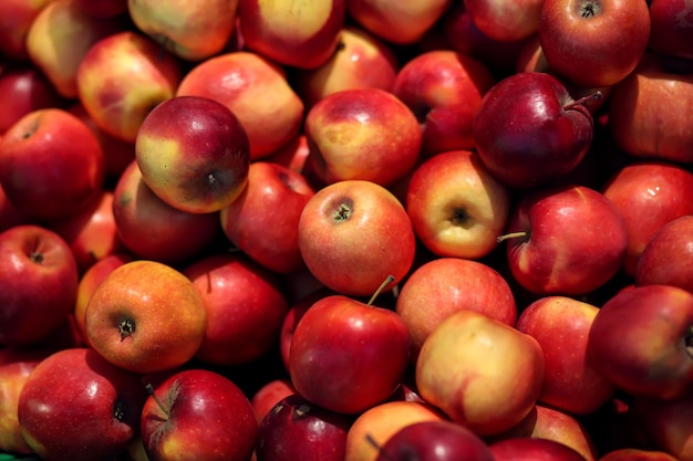빨간 사과 배경 판매를 위한 신선한 사과 클로즈업
