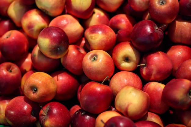 Red apples background Fresh apples for sale Close up