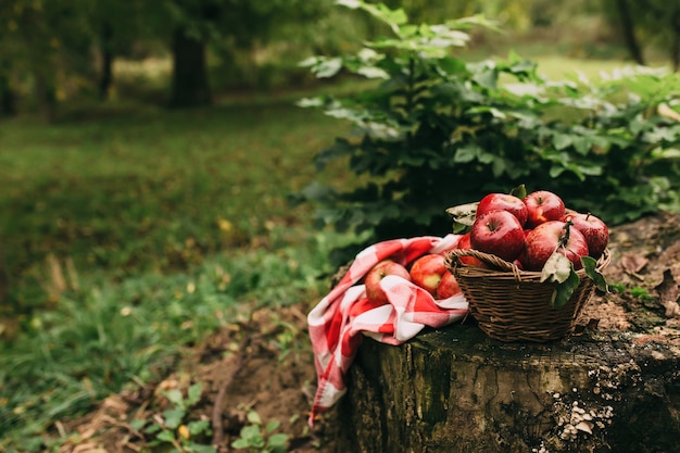 Photo red apples in a basket