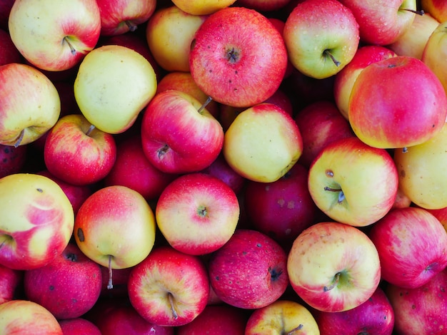 Red apples close up. Farm for growing apples. Many apples. View from above.