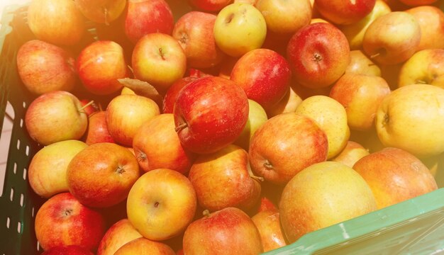 Red apples in plastic crates ready for sale in the market