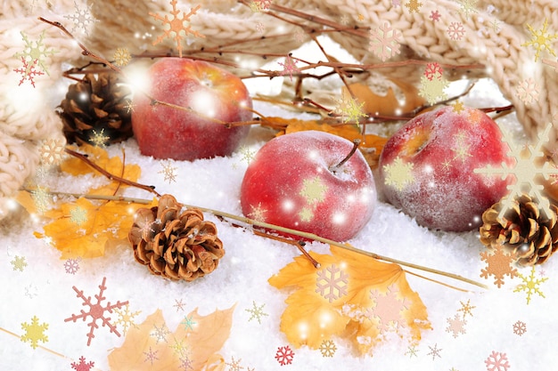 Red apples in snow close up